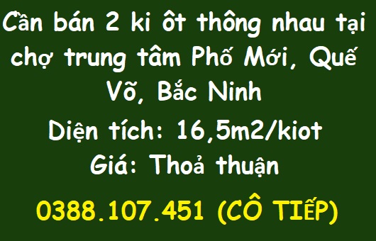 Cần bán 2 ki ôt thông nhau tại chợ trung tâm Phố Mới, Quế Võ, Bắc Ninh; 0388107451 - Ảnh chính